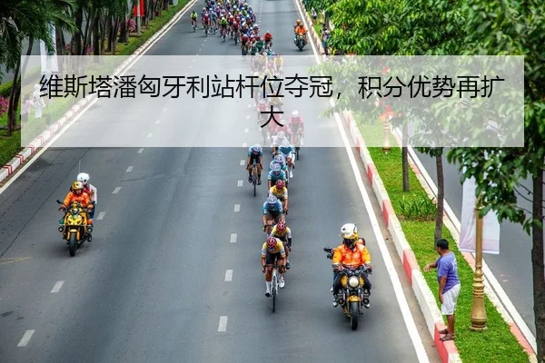 维斯塔潘匈牙利站杆位夺冠，积分优势再扩大