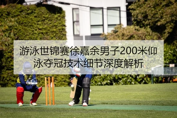 游泳世锦赛徐嘉余男子200米仰泳夺冠技术细节深度解析